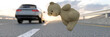 Toy bear accidentally dropped out of a car window on the road 3d render
