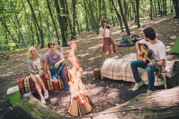 Poster - Portrait of attractive cheerful four people spending free time in wild park on fresh air warming up setting fire outdoors