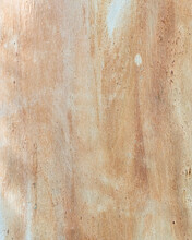 Texture Of Eucalyptus Tree Bark