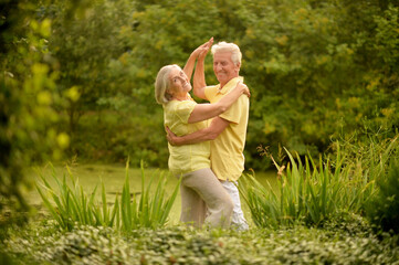 Sticker - Portrait of happy senior couple dancing and posing in summer park