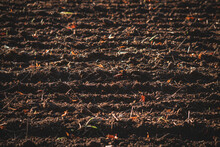 Late Afternoon Sun Painted Plowed Field A Day After A Rain