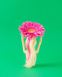 © Anita - A creative spring arrangement made of a doll woman holding a pink flower on a green background. Minimal beauty concept.