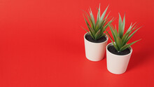 Two Artificial Cactus Plants Or Plastic Tree Isolated On Red Background.