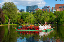 Swan Paddle Boat At Public Garden In Boston, Massachusetts MA, USA.