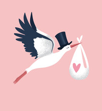 A Cute Stork Is Carrying A Newborn. Vector Illustration