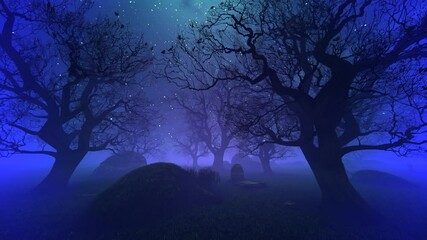 night park and dark trees