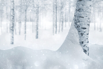 Wall Mural - Winter background. Winter landscape with snowy birch trees in the park. Snow covered birch grove.