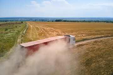 Wall Mural - Aerial view of lorry cargo truck driving on dirt road between agricultural wheat fields. Transportation of grain after being harvested by combine harvester during harvesting season