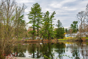 Wall Mural -  lake