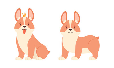 Poster - Welsh Corgi with Short Legs and Brown Coat Sitting and Standing Vector Set