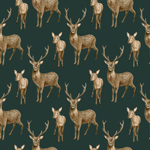 Watercolor Deer Seamless Pattern. Hand Painted Realistic Buck With Antlers, Baby Fawn Deer On Dark Background. Woodland Mammal Animals Drawing. Brown Reindeer For Wallpaper, Design, Fabric