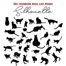 33 Real Cat Poses Silhouette