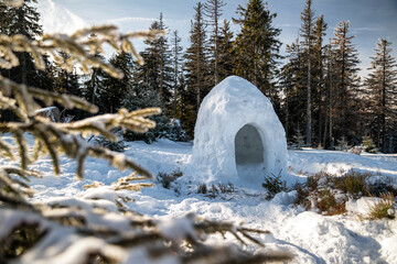 Wall Mural - Snow igloo in the winter forest at mountains