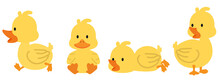 Cute Yellow Ducks Cartoon Collcetion Set