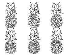 Set Of Floral Pineapples. Collection Silhouettes Of An Exotic Fruit With Fruit. Fresh Vitamins. Design For T-shirt. Vector Illustration Of Pineapple Party Decoration .