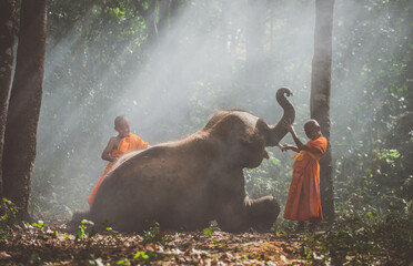 Cinematic representation of countryside culture of thailand. Thai monks and shepherds spending time in the jungle with their elephants