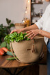 © Dina - Green vegetables - basil, broccoli and lettuce in eco reusable jute bag on kitchen table after grocery shopping for healthy food