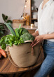 © Dina - woman in white shirt and jeans holding an eco jute reusable bag with bunch of green basil and lettuce. Grocery shopping for vegetables - healthy lifestyle