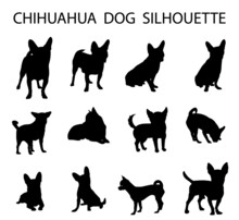 Chihuahua  Dog Animal Silhouette, Dog Breeds Silhouette, Animal Silhouette Symbol, Vector Dog Breeds Silhouettes Set 03