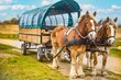 canvas print picture - 	
Pferdekutsche, Kremserfahrt bei Kap Arkona auf der Insel Rügen