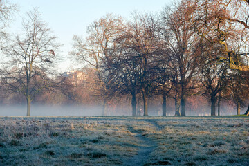 Wall Mural - London, Hyde Park in frosty and sunny morning