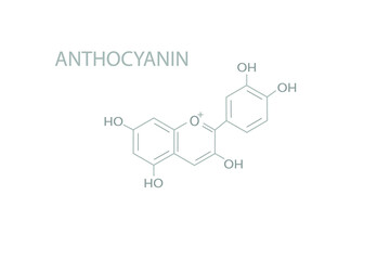 Wall Mural - Anthocyanin molecular skeletal chemical formula.