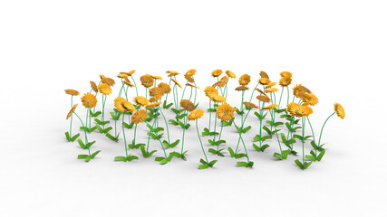 Wall Mural - orange dahlia flower with shadow 3d render