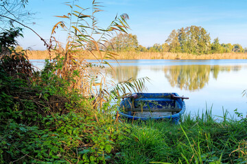 Poster - ein stiller See an einem ruhigen Morgen - quiet lake on a calm morning