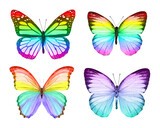 Fototapeta Motyle - Beautiful Colorful butterfly on a white background.
