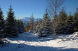 Winter in the Beskid Sadecki, tourist trail with view to the Tatra Mountains, Carpathians, Poland