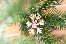 Straw Ornament On A Coniferous Tree. Classic Christmas Tree. Decoration. Star. Flake. Straw Christmas Ornament. Background For Christmas Card. Merry Christmas.