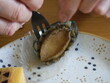 © yuki91 - あわびを食らう　〜eat abalone
