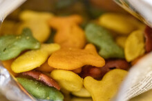Close Up Of Gold Fish Crackers Multi Colored In The Bag . High Quality Photo