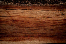 Texture Of Wood With Bark Wood For Background