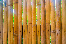 Yellow Bamboo Fence Wall Background