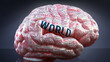 World in human brain, hundreds of crucial terms related to World projected onto a cortex to show broad extent of this condition  and to explore important concepts linked to World, 3d illustration