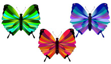 Beautiful Multicolored Butterflies On A White Background, Illustrations