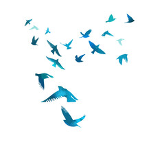 A Flock Of Blue Birds. Vector Illustration