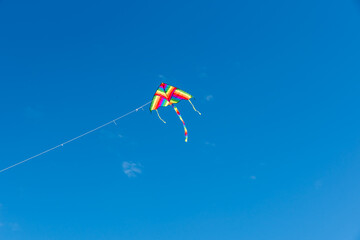 Wall Mural - colorful kites flying over the sky