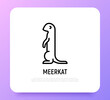 Cartoon meerkat thin line icon. Modern vector illustration of suricate.