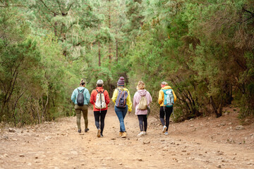 Group of women walking in the woods - Adventure and travel people concept