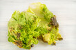 rotten or decay green lettuce salad leaves