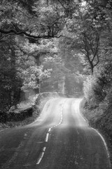 Wall Mural - Epic landscape image of road winding through vibrant Autumn Dodd Woods forest in Lake District