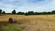 Straw bales in the summertime field.