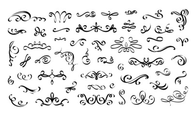 Wall Mural - swirl wedding ornament. calligraphy flourish vintage outline elements. typography border line. black