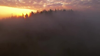 Canvas Print - Thick fog covers mountains and forests in rays of morning light. Filmed in 4k, drone video.