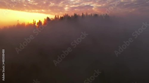 Fototapete - Thick fog covers mountains and forests in rays of morning light. Filmed in 4k, drone video.