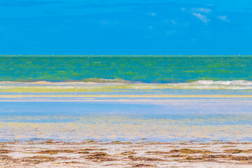 Natural Holbox island beach sandbank panorama turquoise water waves Mexico.