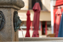 Close-up Shot Of A Fountain With A Lion Face