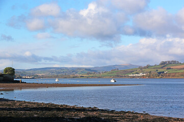 Wall Mural - River Teign at low tide	